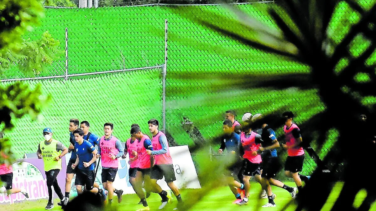 200629_GALLOS_YLM (2)_CMYK