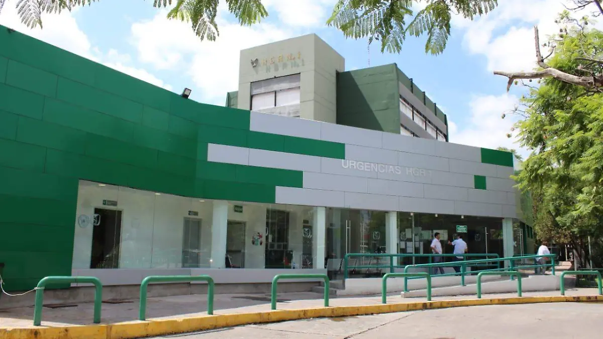 IMSS cortesía IMSS