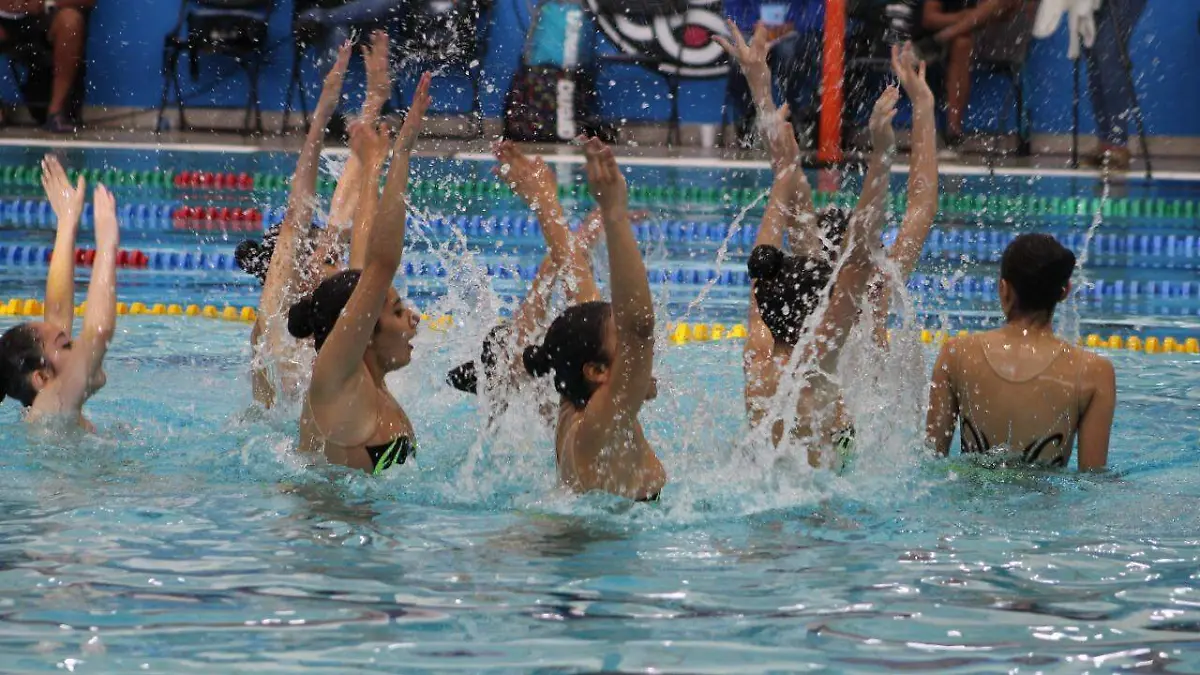 494ead56-d387-4f57-854c-2110f8166e83