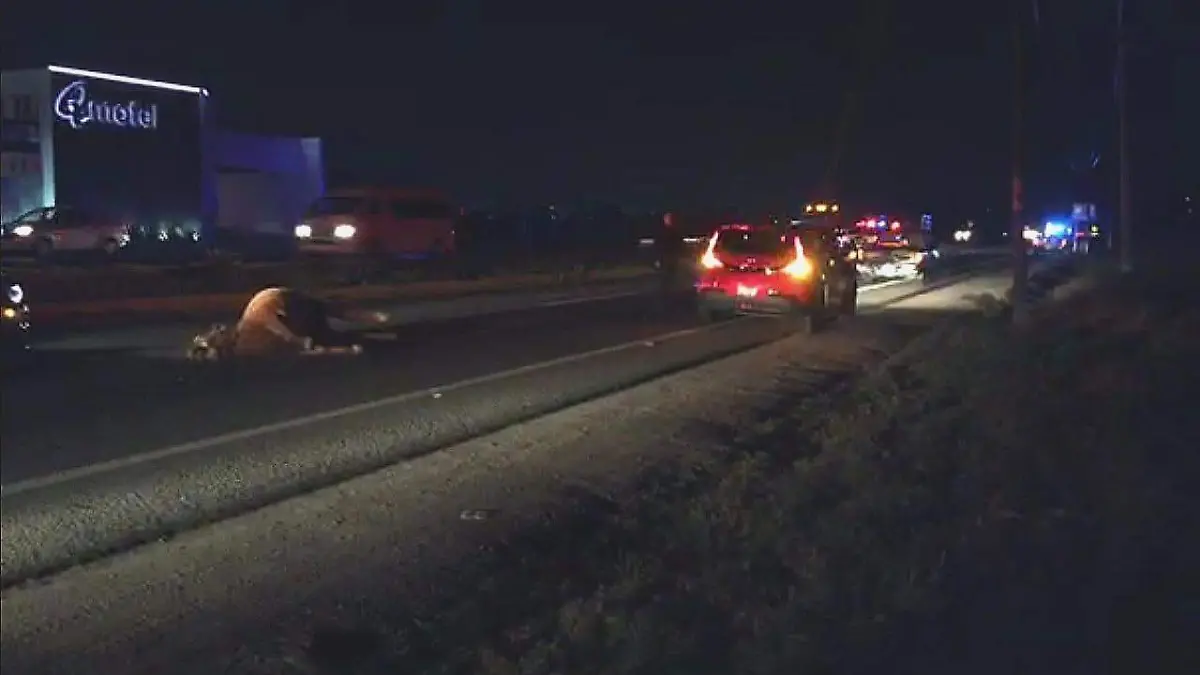 WhatsApp Image 2020-03-21 at 10.04.59 PM