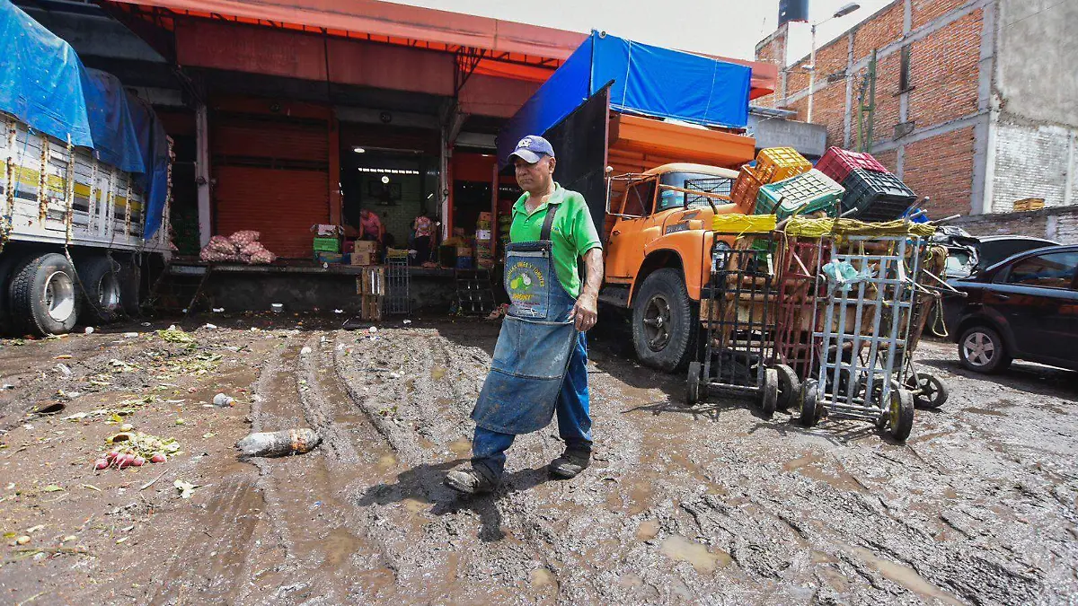 Central de Abastos 1-HA