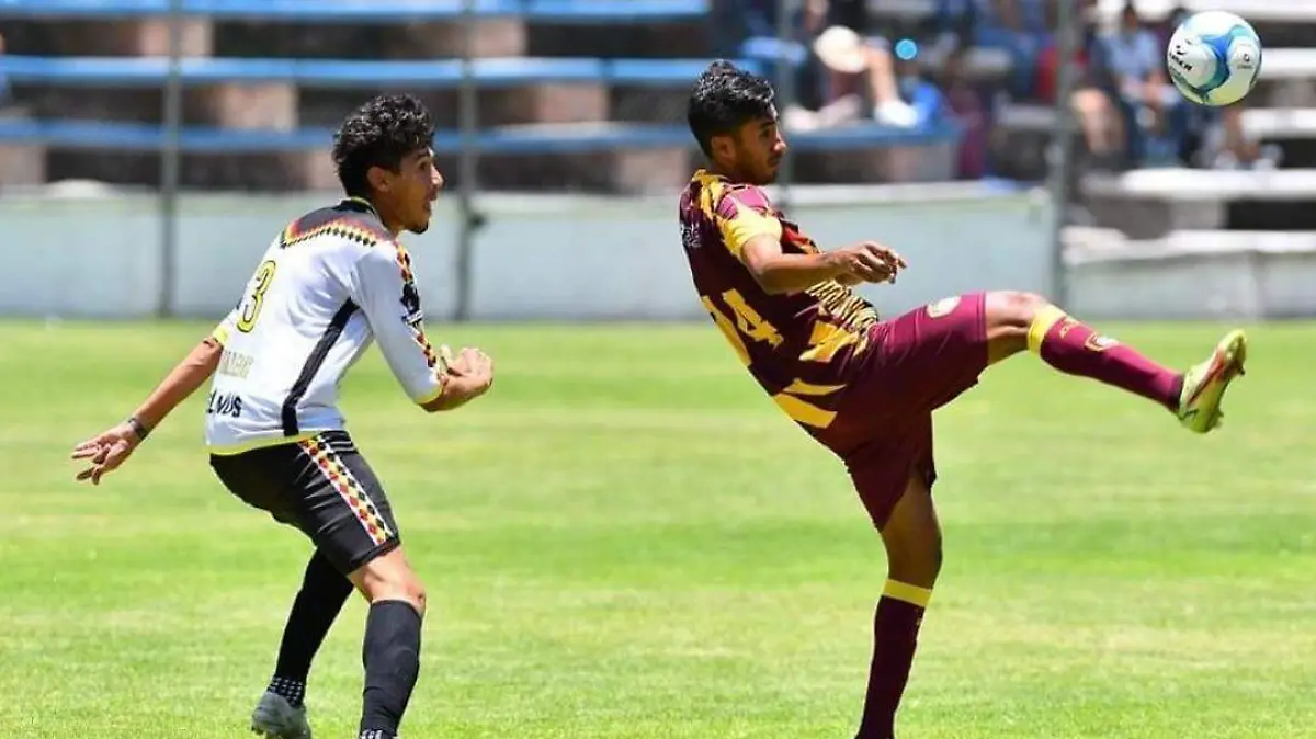 halcones 2