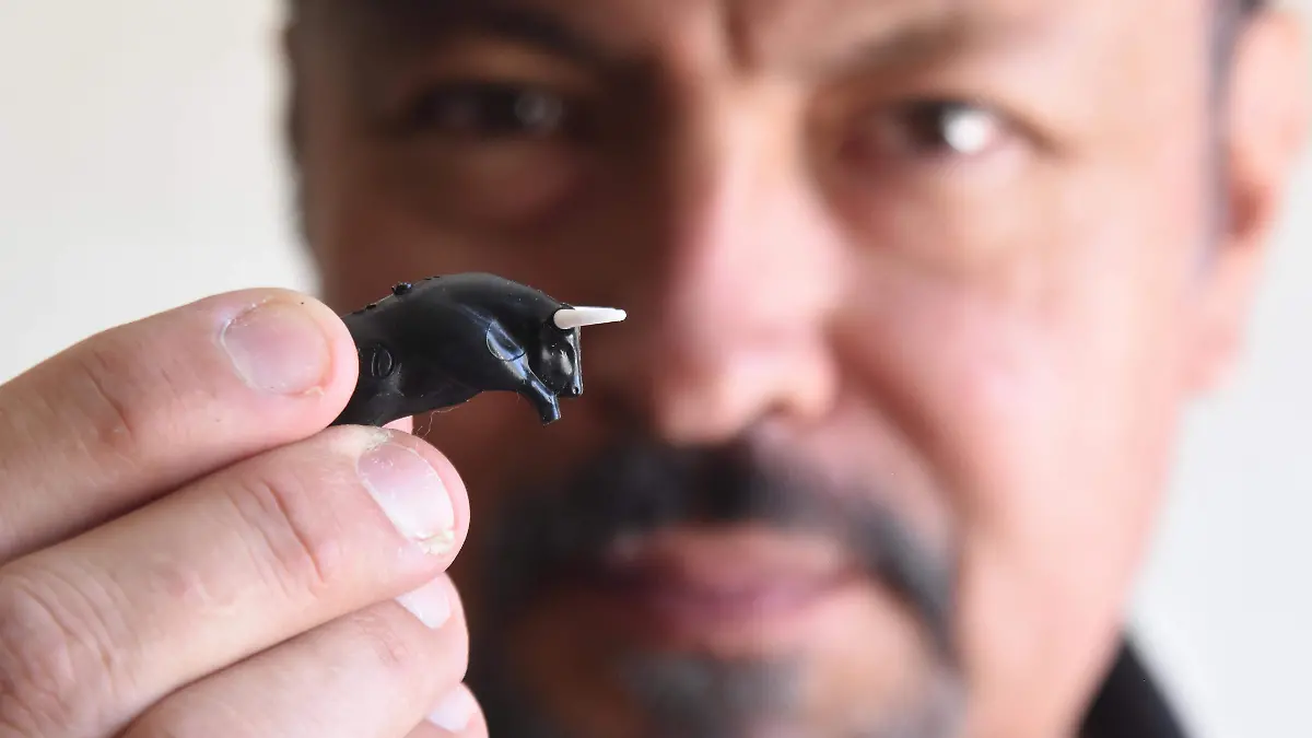 maqueta, toros, plaza de toros