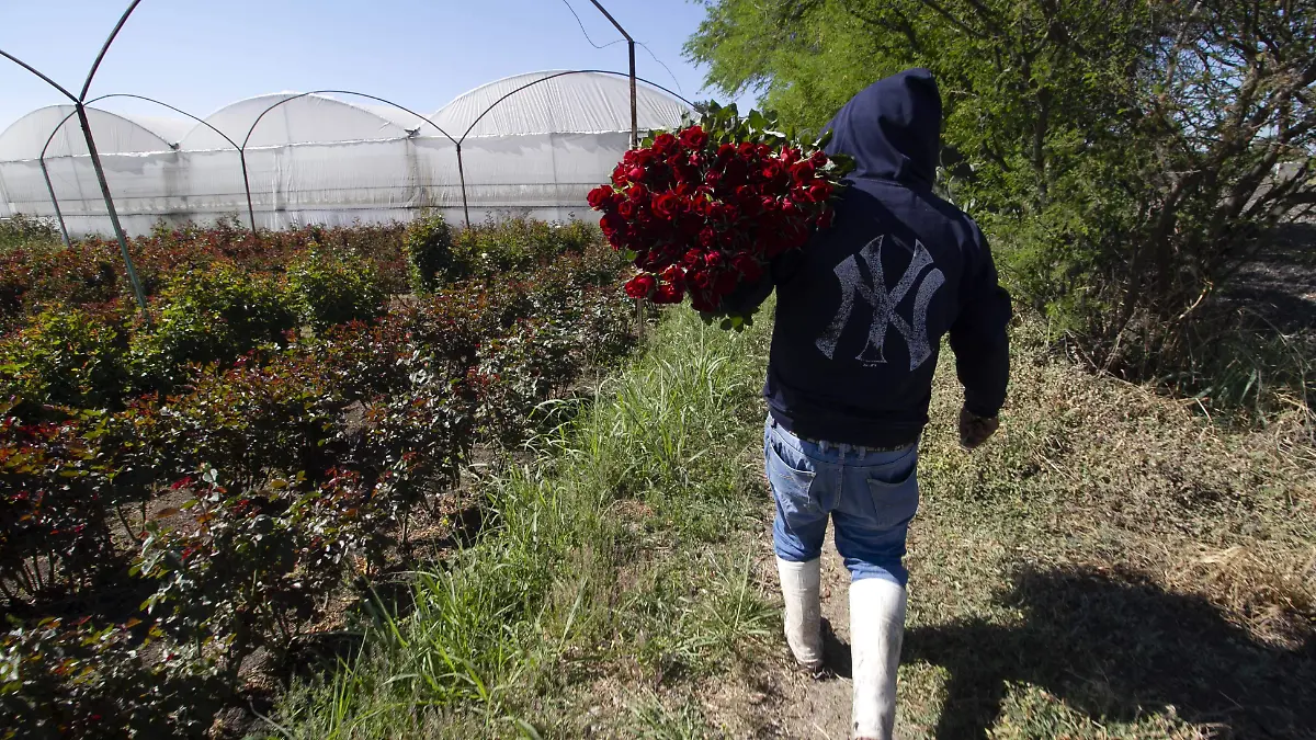 Los programas de apoyo al campo privilegian a los ejidatarios y productores que no son ejidatarios quedan en rezago. Foto César Ortiz