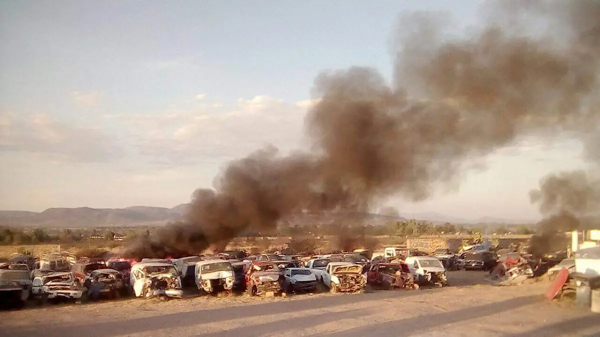 11 MAR. Deshuesadero en