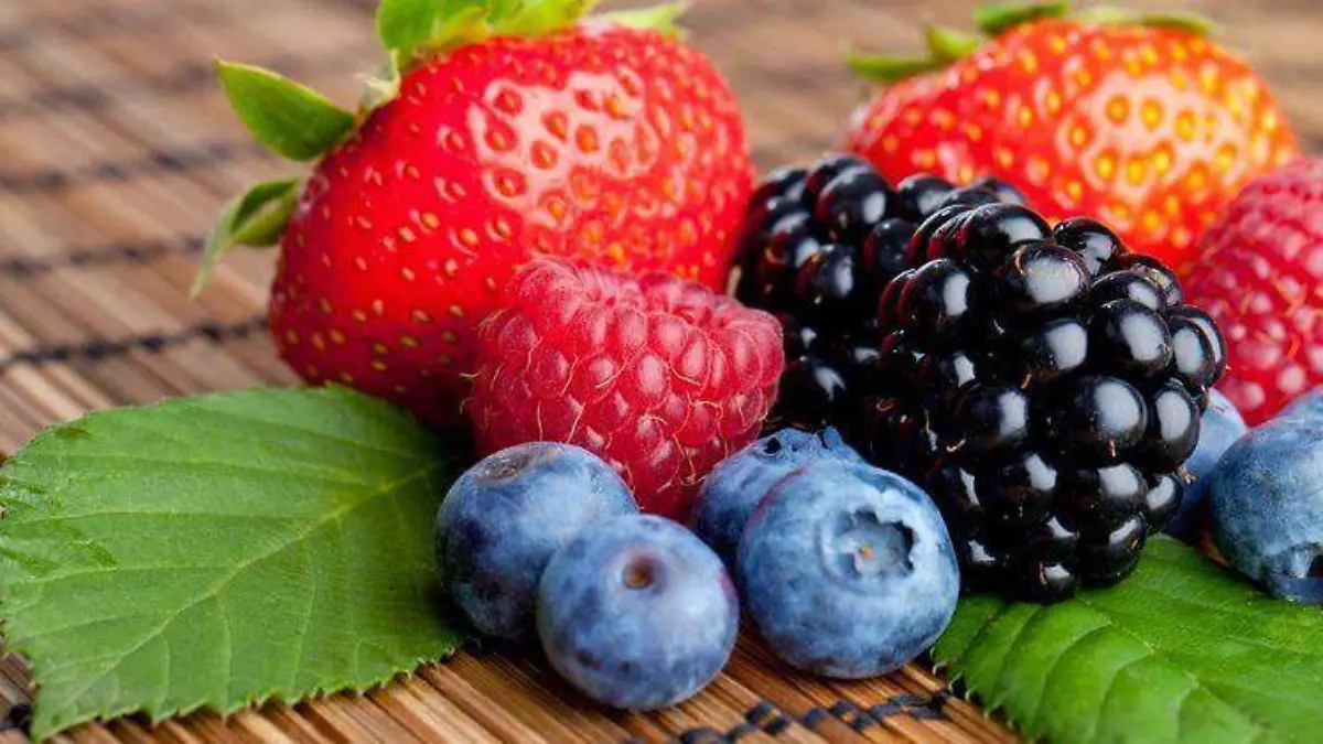 Alimentos 2
