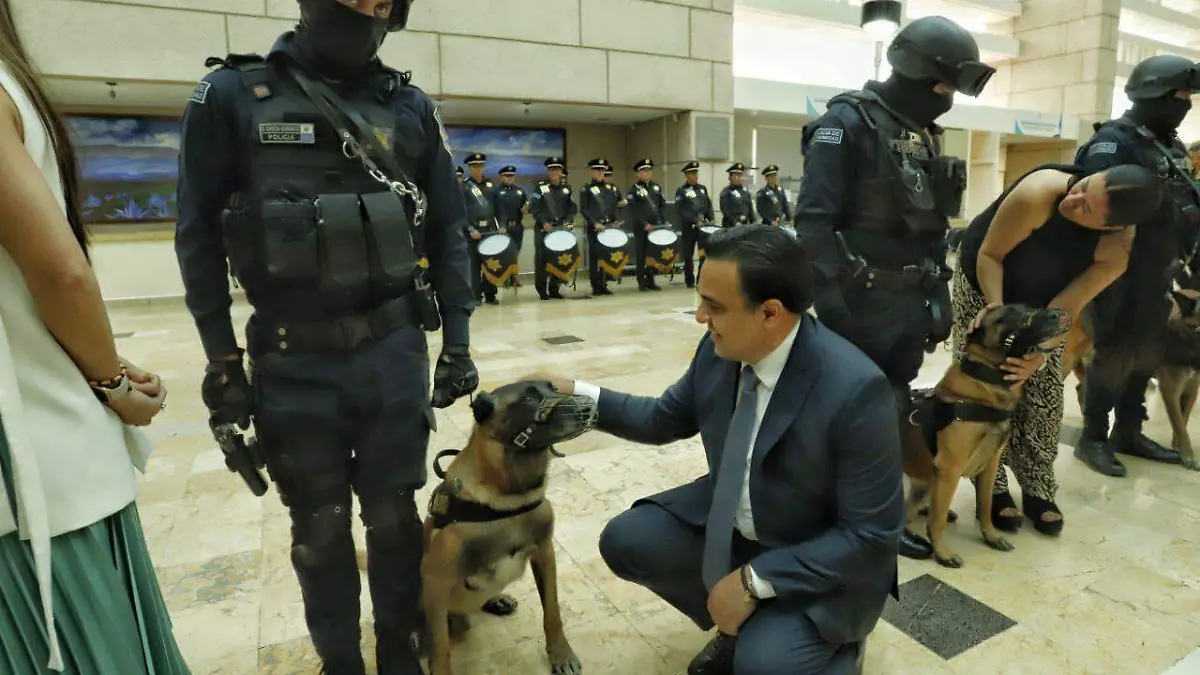 WhatsApp Image 2023-07-11 at 9.24.57 PM