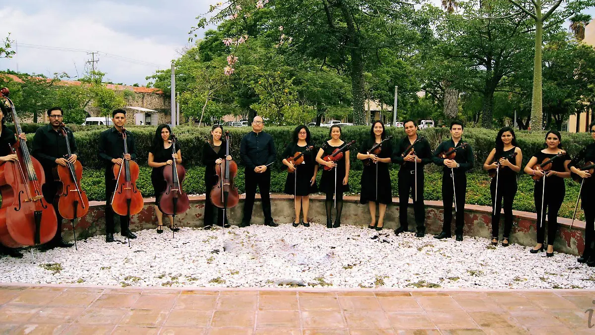 camerata arcos