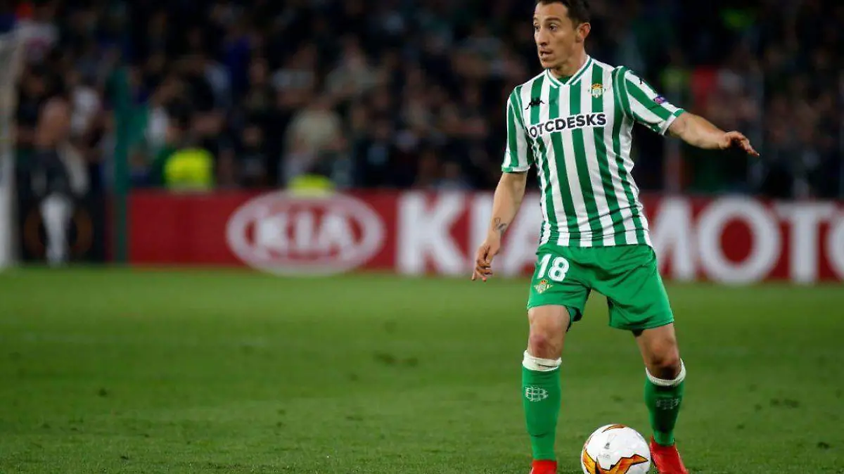 guardado