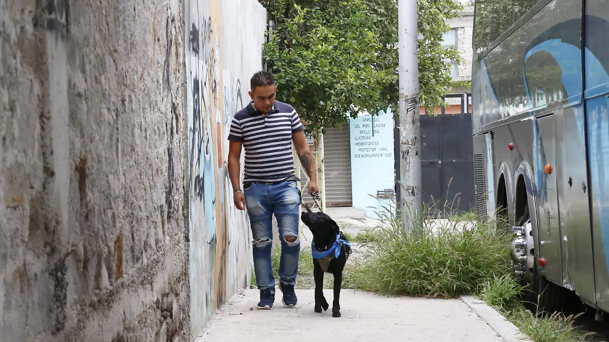 230725_PERRO PEREGRINO_EL NEGRO_HA_19