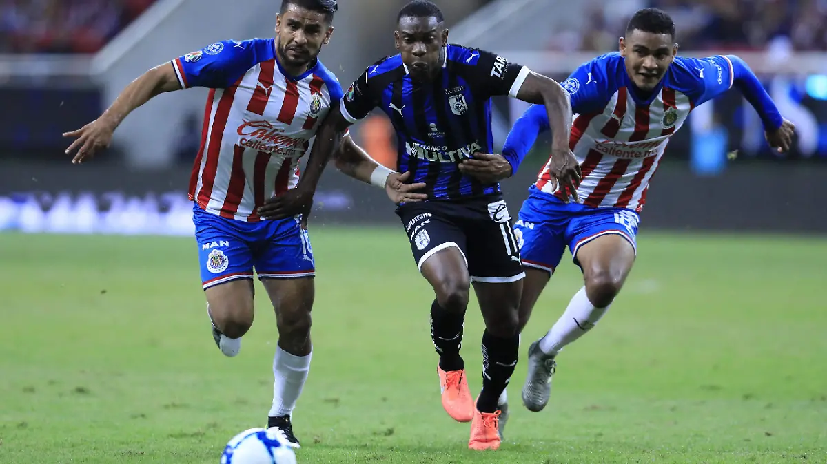 1A GALLOS 1_CORTESIA GALLOS BLANCOS