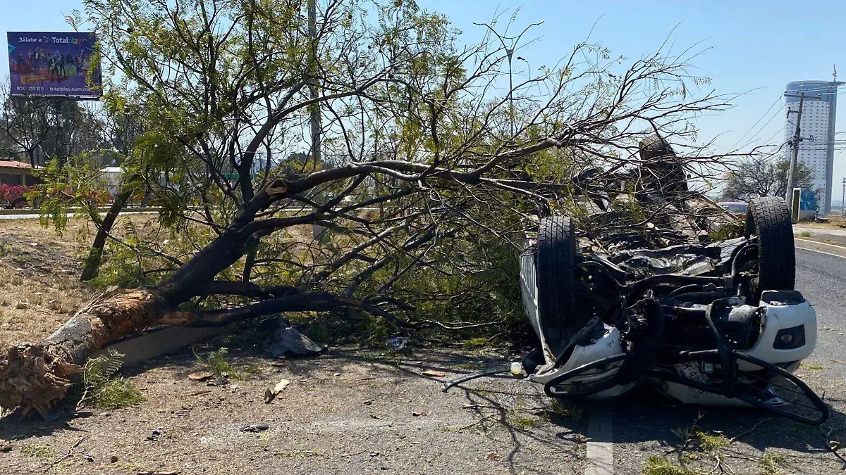 c8b85c19-8df2-489c-ae1f-447be0c3aace