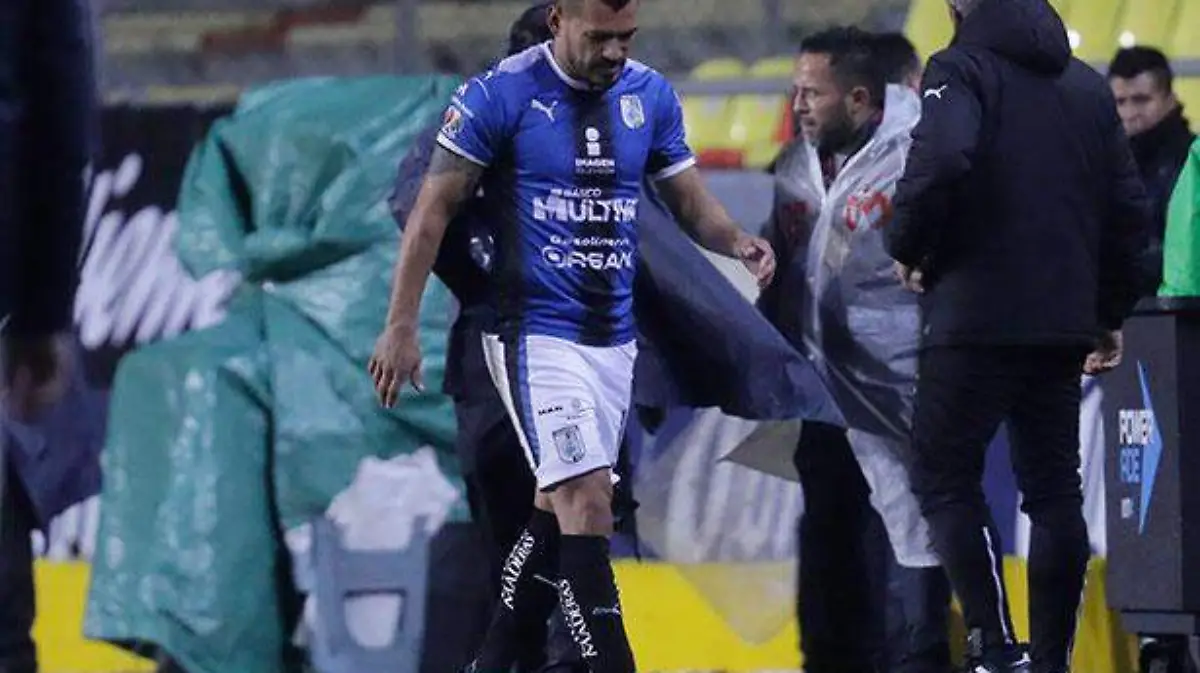 gallos