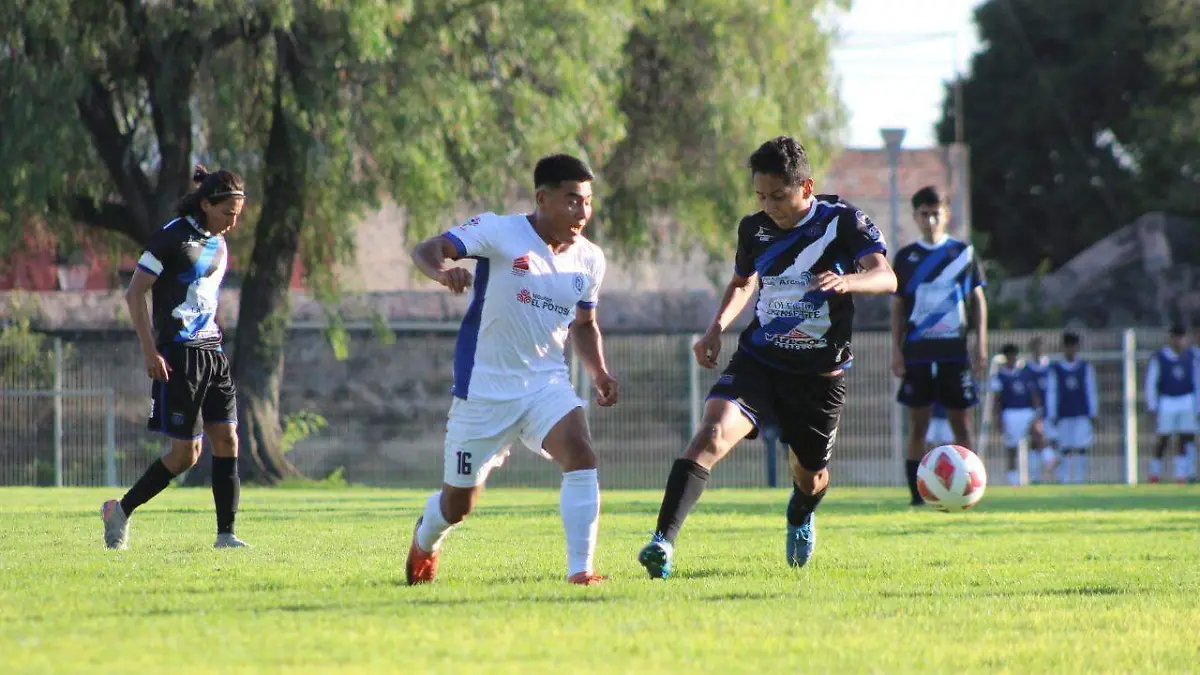 d095a169-6d37-441a-a561-122af42bf7fb