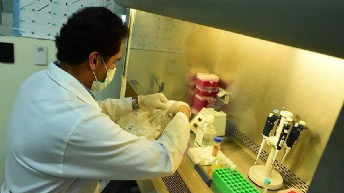 INVESTIGADORES BUSCAN