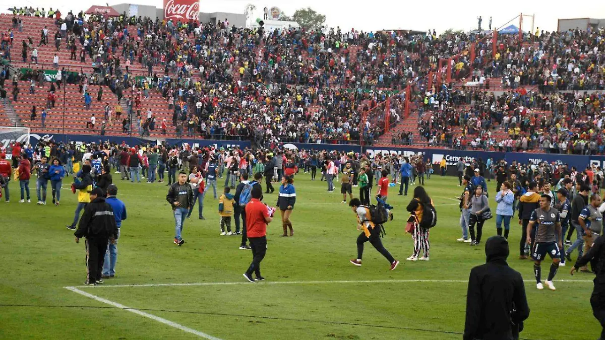 WhatsApp Image 2019-10-20 at 7.29.57 PM