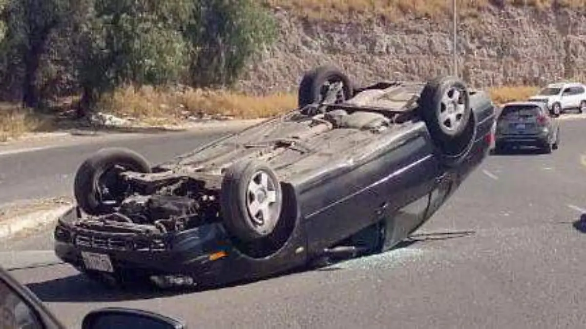 c8621481-b9ed-4ce2-9cb5-b7b1f6f5b995