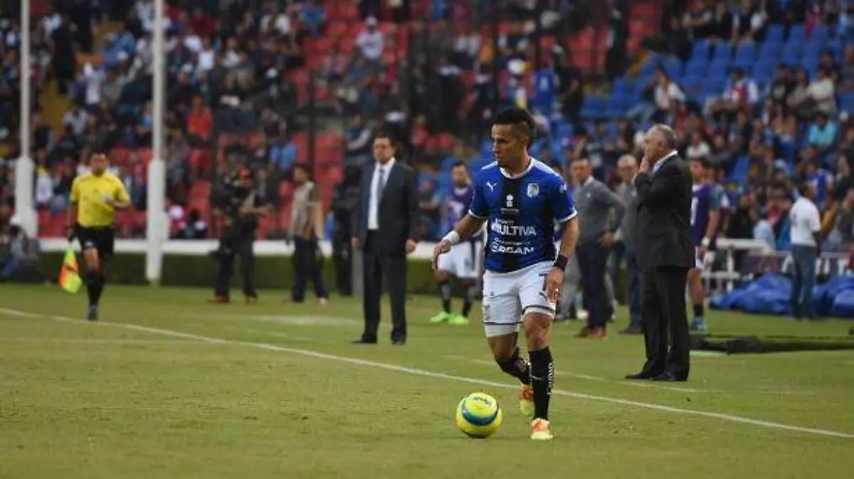 GALLOS