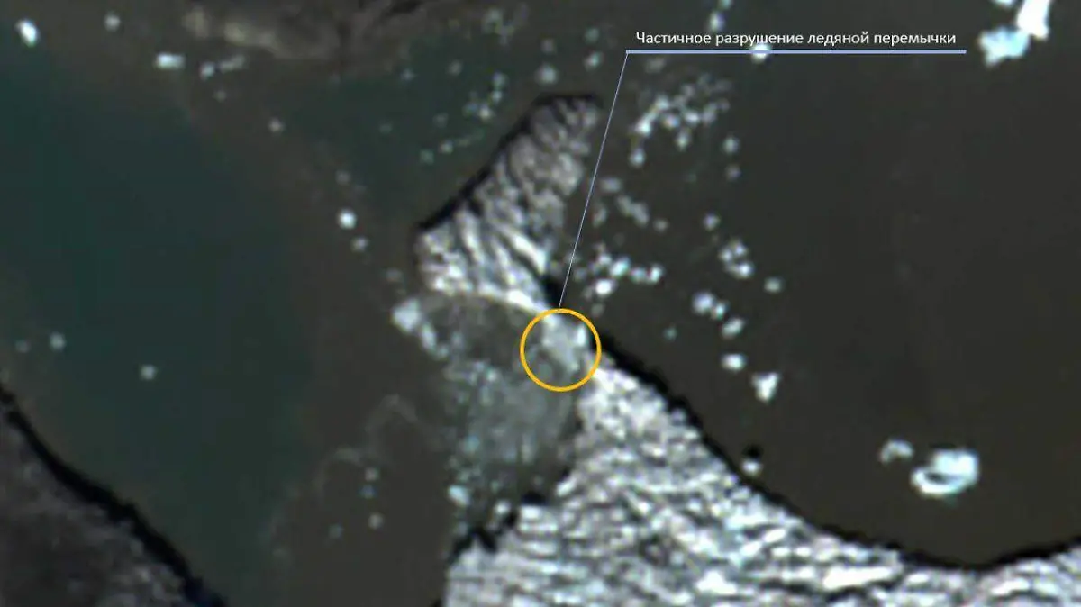 Nueva Isla en el Ártico- Twitter