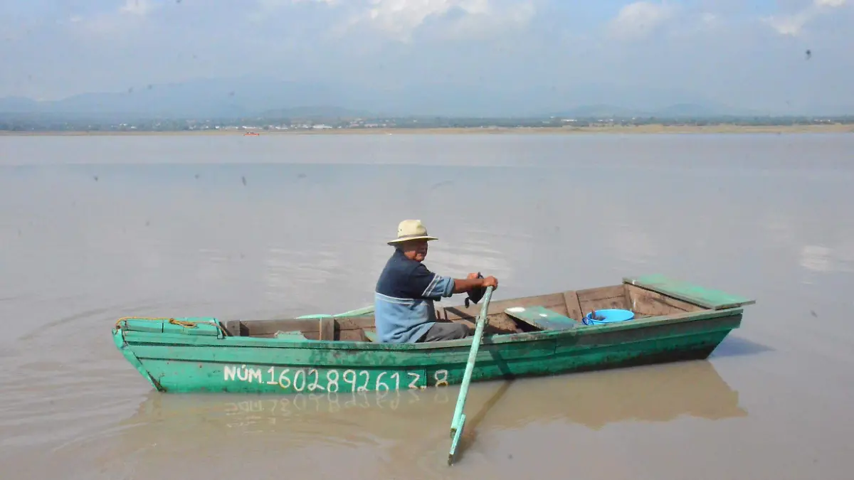 Credito y numero de foto Luis Luevanos08