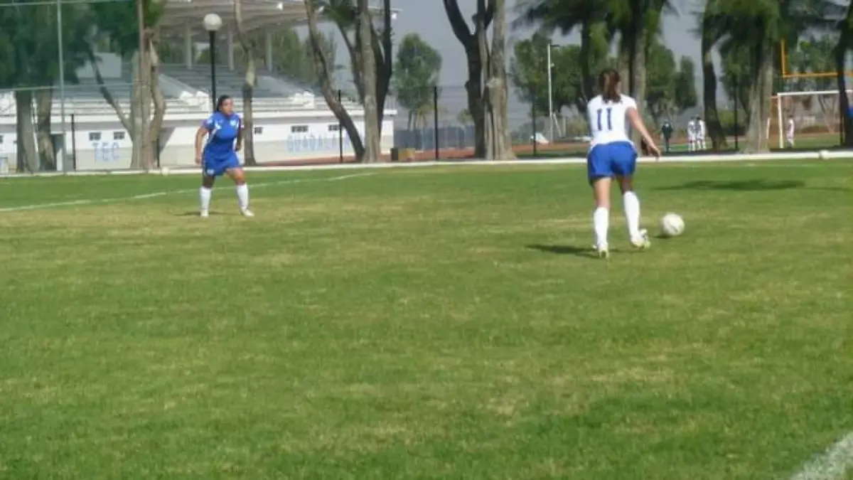 Futbol 7