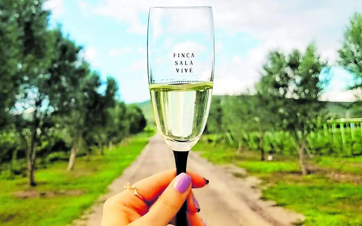 Freixenet 5_CMYK