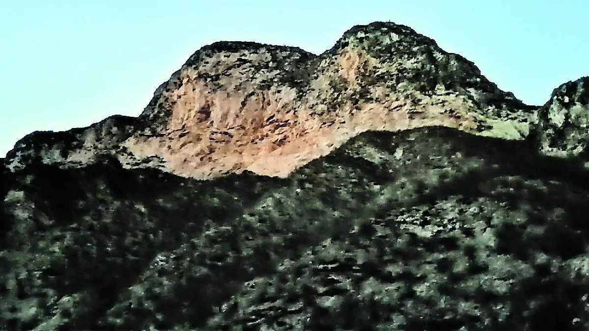 penamiller 1_CMYK