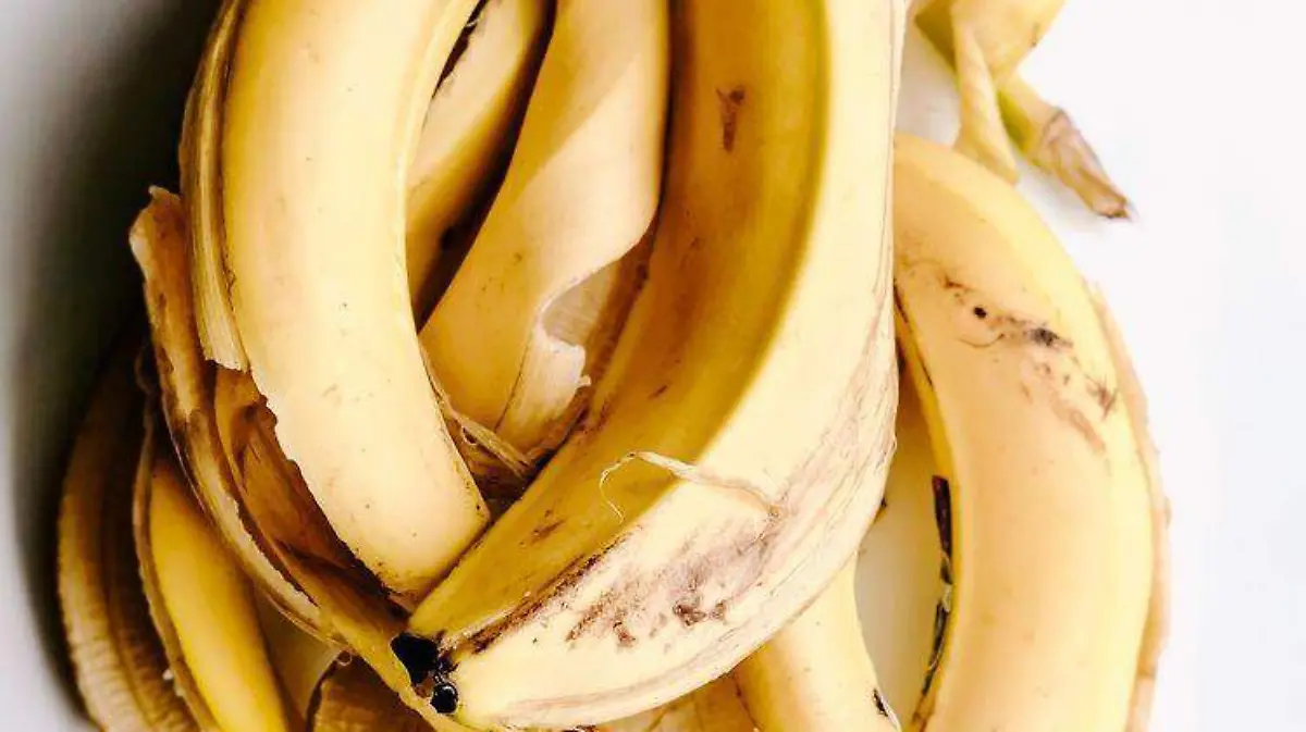 platano 3