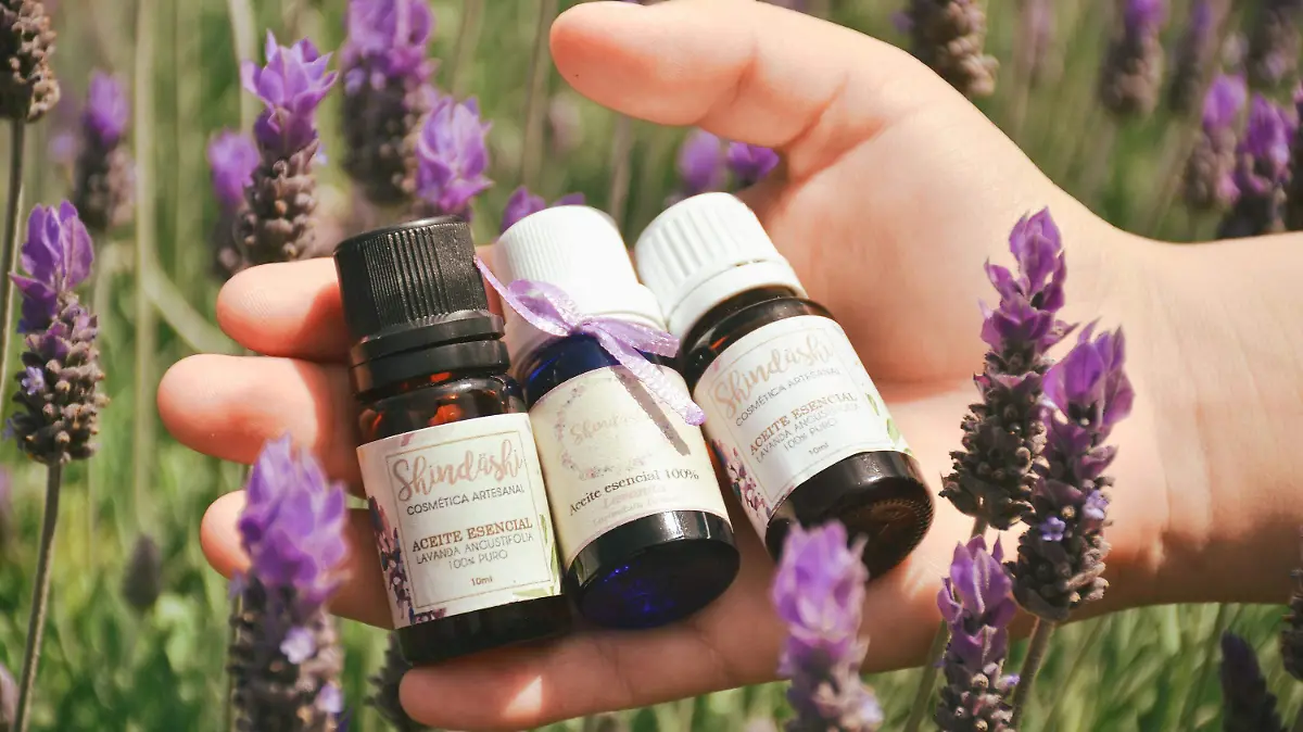 220314_LA MIRADA, CAMPOS DE LAVANDA_AAC 7