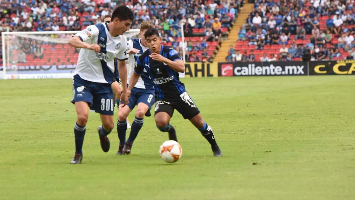 gallos puebla