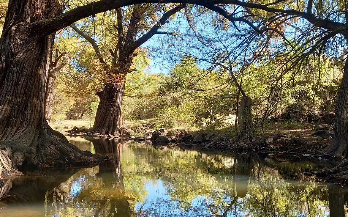 biodiversidad