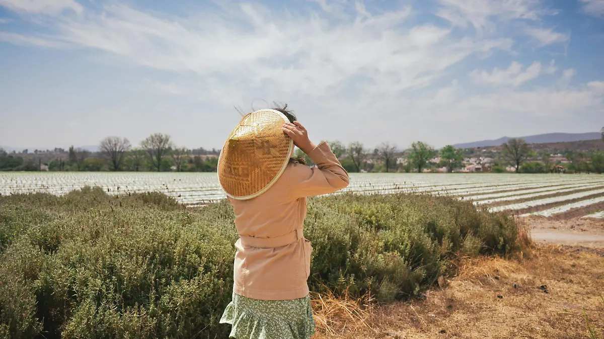 220314_LA MIRADA, CAMPOS DE LAVANDA_AAC 4