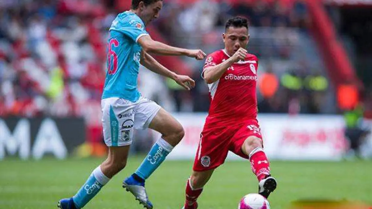 gallos-toluca
