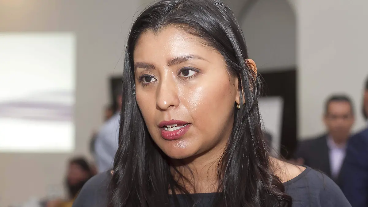 Marité Sánchez, coordinadora regional de la Canacintra.  Foto César Ortiz.