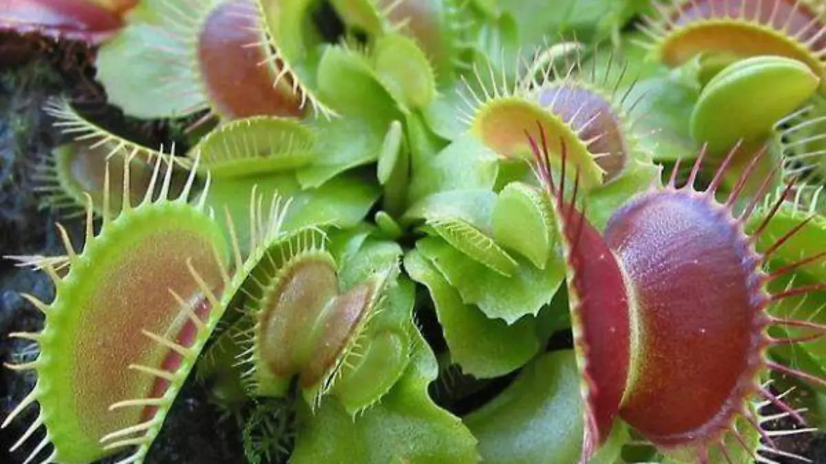 733bf0c0-ee88-4a58-98d8-f774fb81c2f9