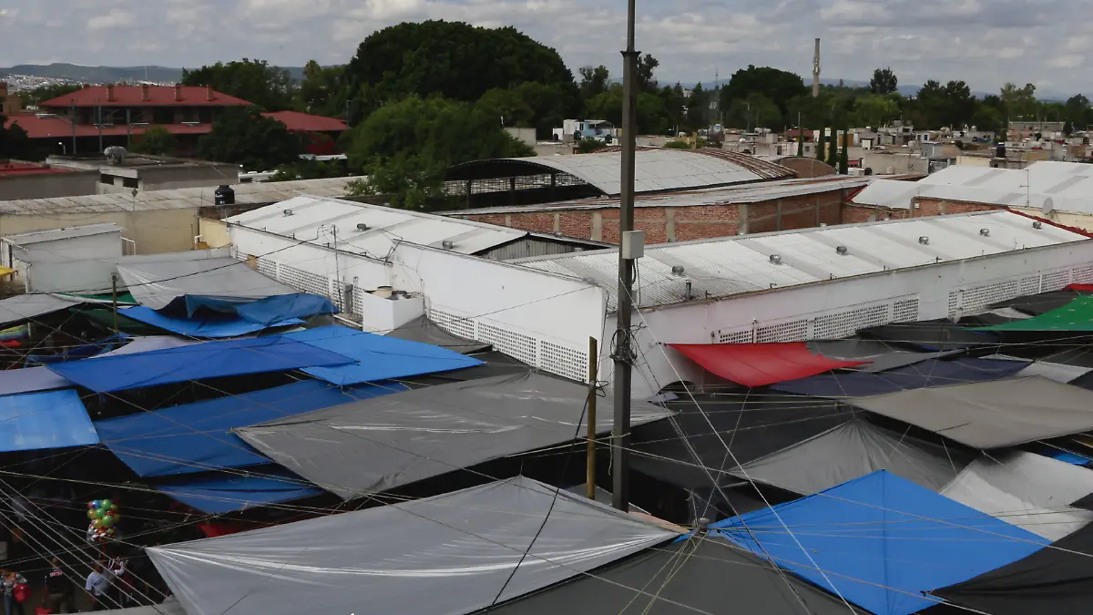 1. Mcdo del Tepe.  Castañeda y Morúa. 2017