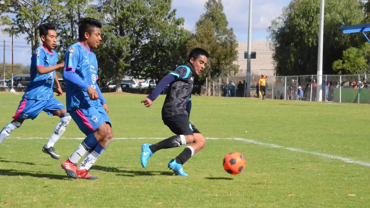 31 01 PRINCIPAL SURGIERON