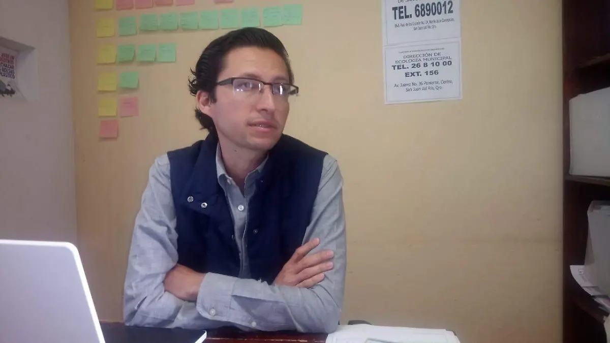 Luis Fernando
