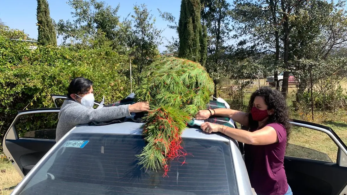 árbol navideño 3