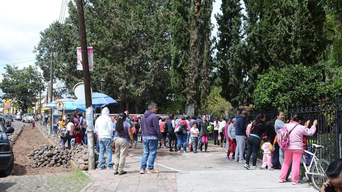 Polis tequis