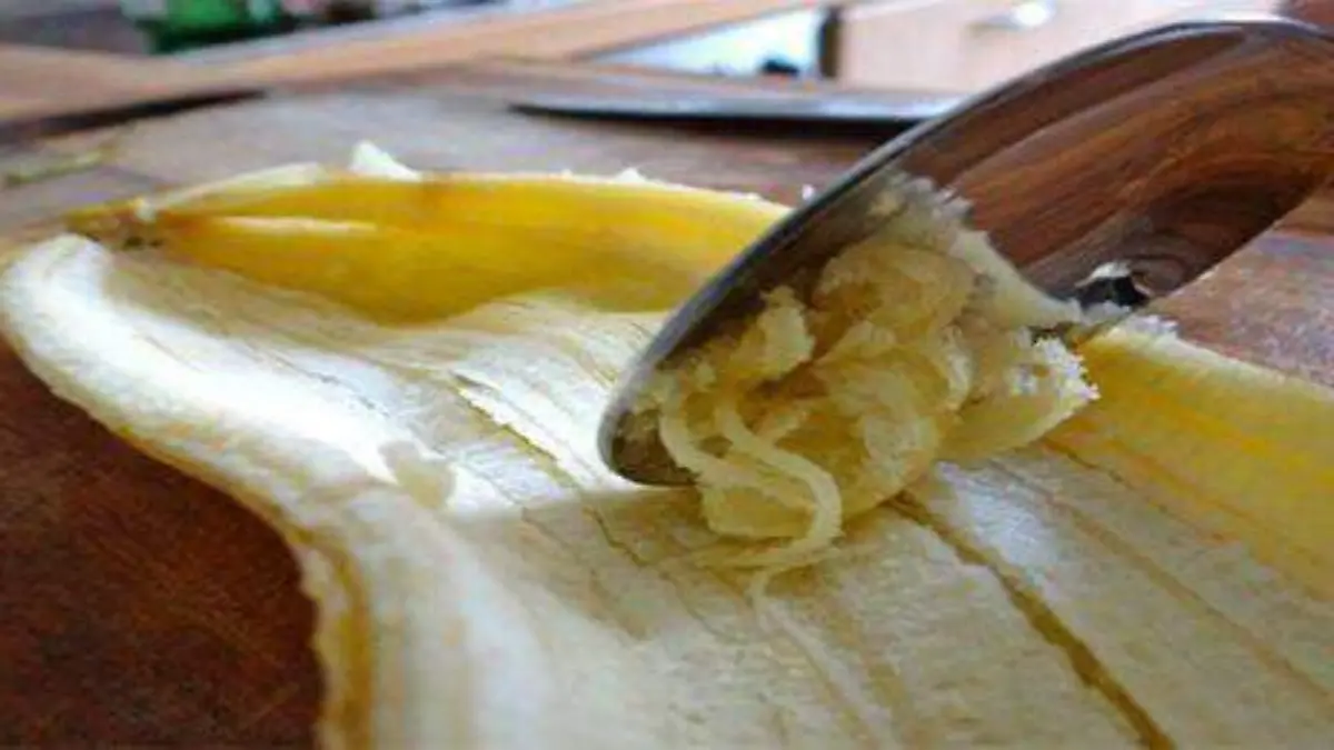 platano 2