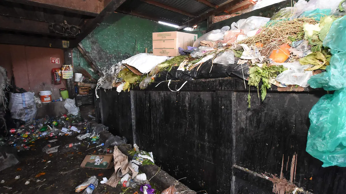 1A BASURA_YL