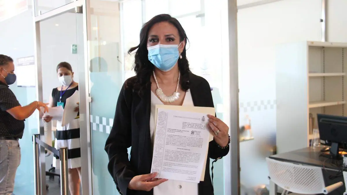 Paloma Arce, iniciativa
