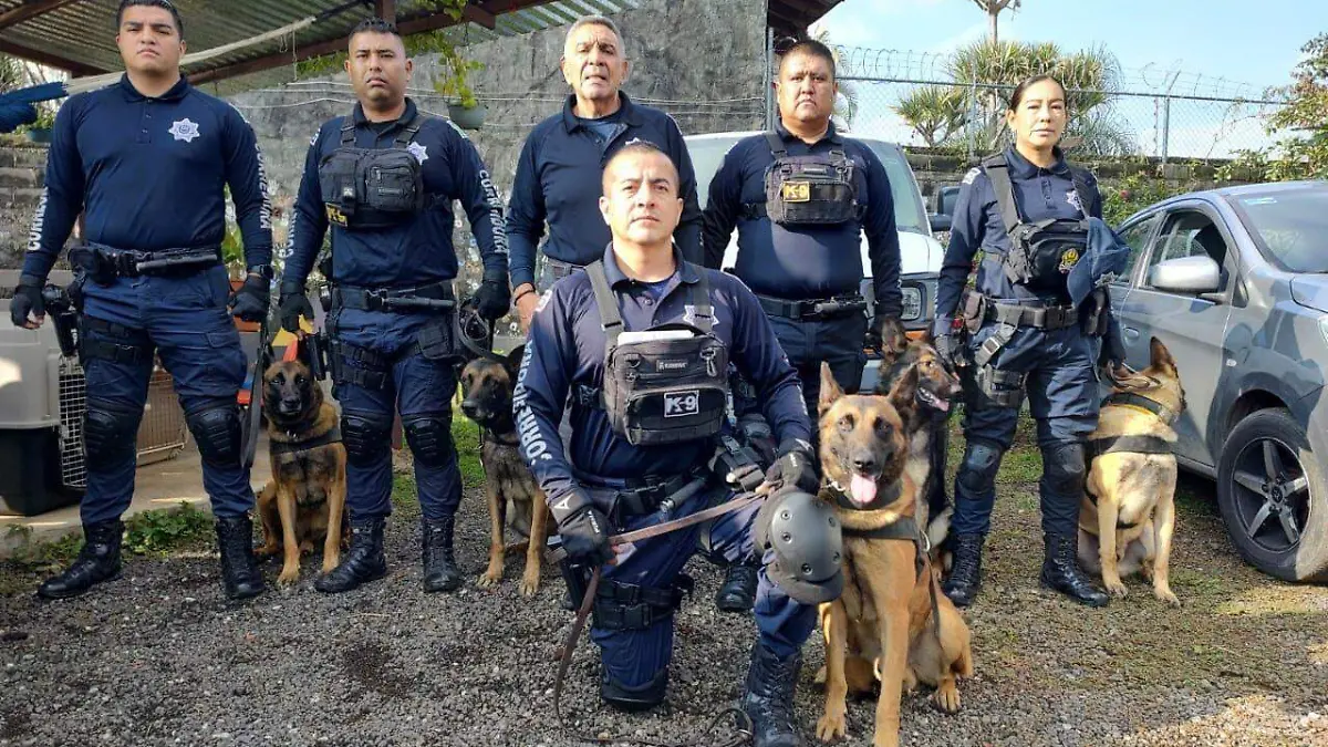 d2820e9f-d8a8-401e-be48-de081a847ee9