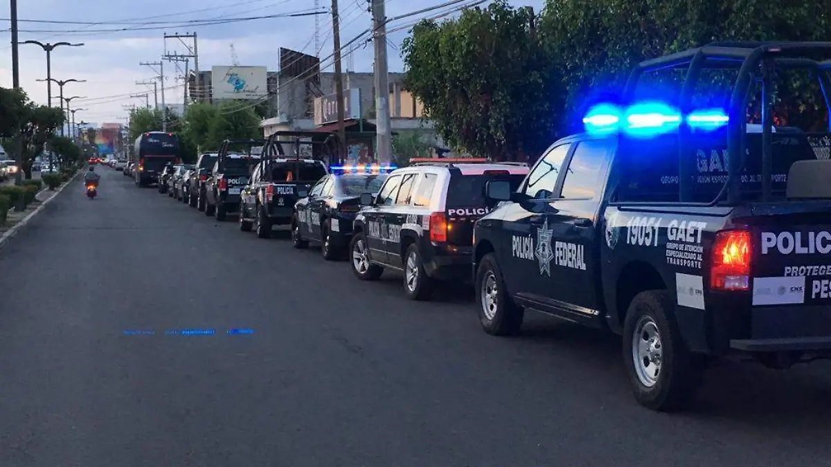 WhatsApp Image 2019-06-12 at 11.27.53 PM