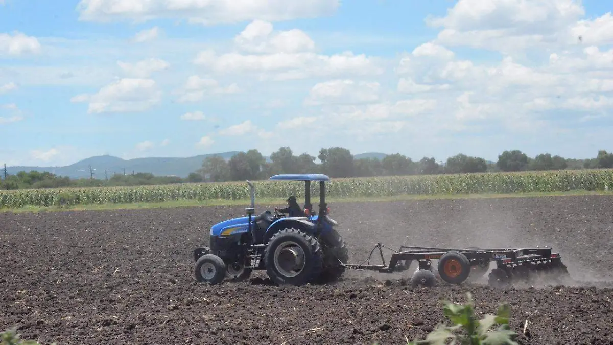 WhatsApp Image 2019-06-09 at 3.46.58 PM