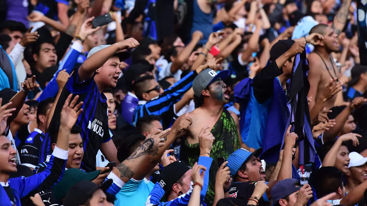 GALLOS