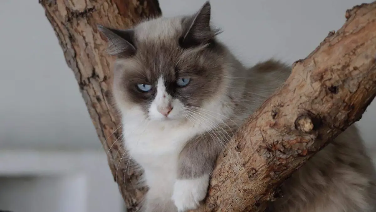 WhatsApp Image 2021-02-23 at 2.55.14 PM