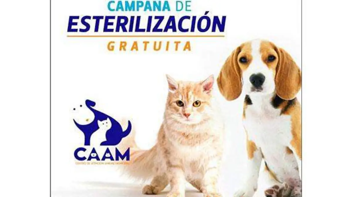 esterilización