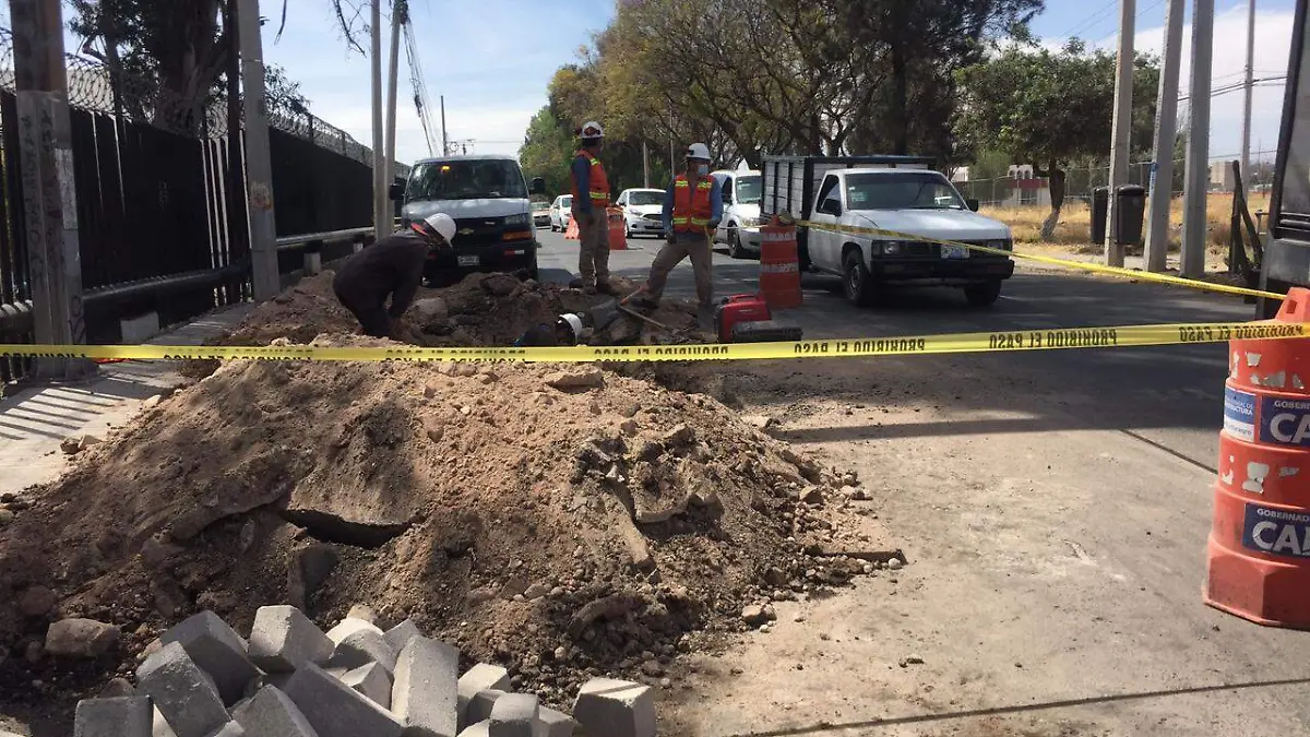 WhatsApp Image 2021-02-24 at 1.41.32 PM